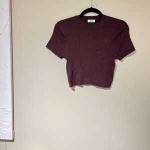 ARDENE Ribbed and Contoured Bodycon Crop Top T-Shirt - Size Large in Burgundy